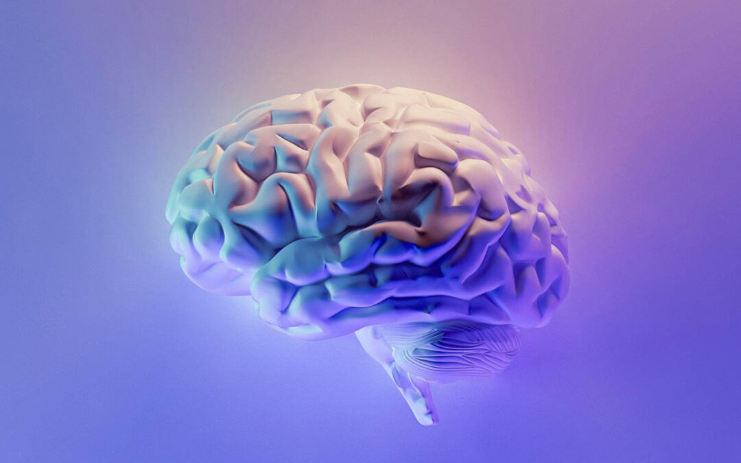 Brain Basics